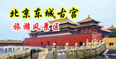 美女日屄中国北京-东城古宫旅游风景区